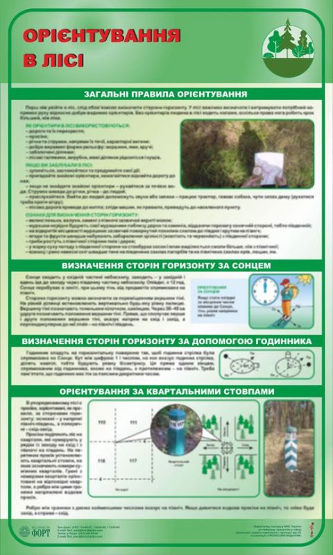 Орієнтування в лісі. Лісове господарство. 0,6х1,0