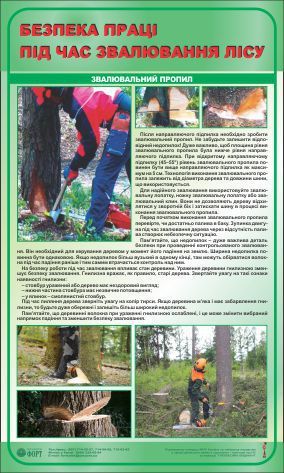 Звалювальний пропил. Безпека праці під час звалювання лісу. 0,6х1,0.
