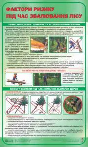 Фактори ризику під час звалювання лісу. 0,6х1,0.