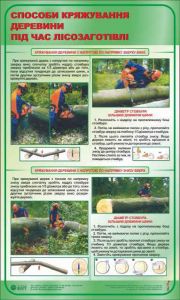 Способи кряжування деревини під час лісозаготівлі. 0,6х1,0.