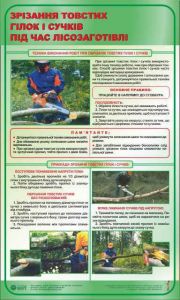 Зрізання товстих гілок і сучків під час лісозаготівлі. 0,6х1,0.