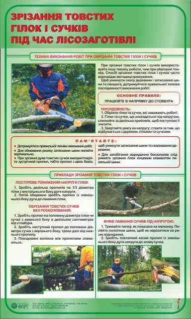 Зрізання товстих гілок і сучків під час лісозаготівлі. 0,6х1,0.